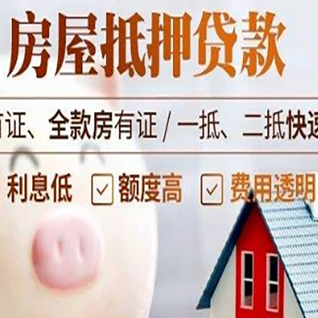 海南藏族贷款助贷公司新渝启服成立时间久